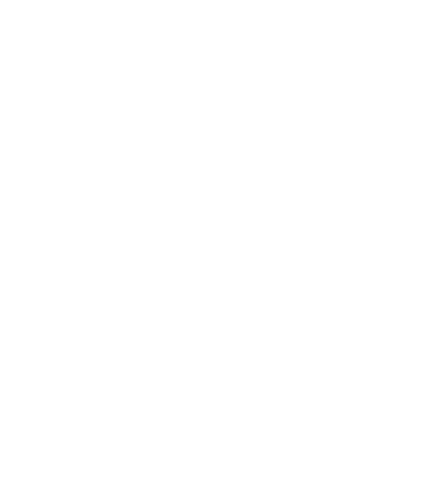 APA-Global-Logo-Final_(white)